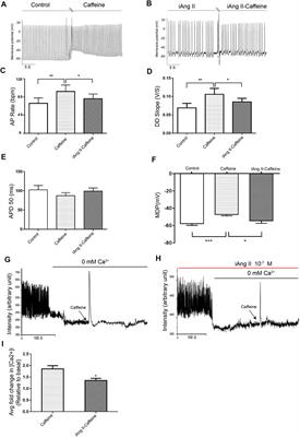 Extracellular and Intracellular Angiotensin II Regulate the Automaticity of Developing Cardiomyocytes via Different Signaling Pathways